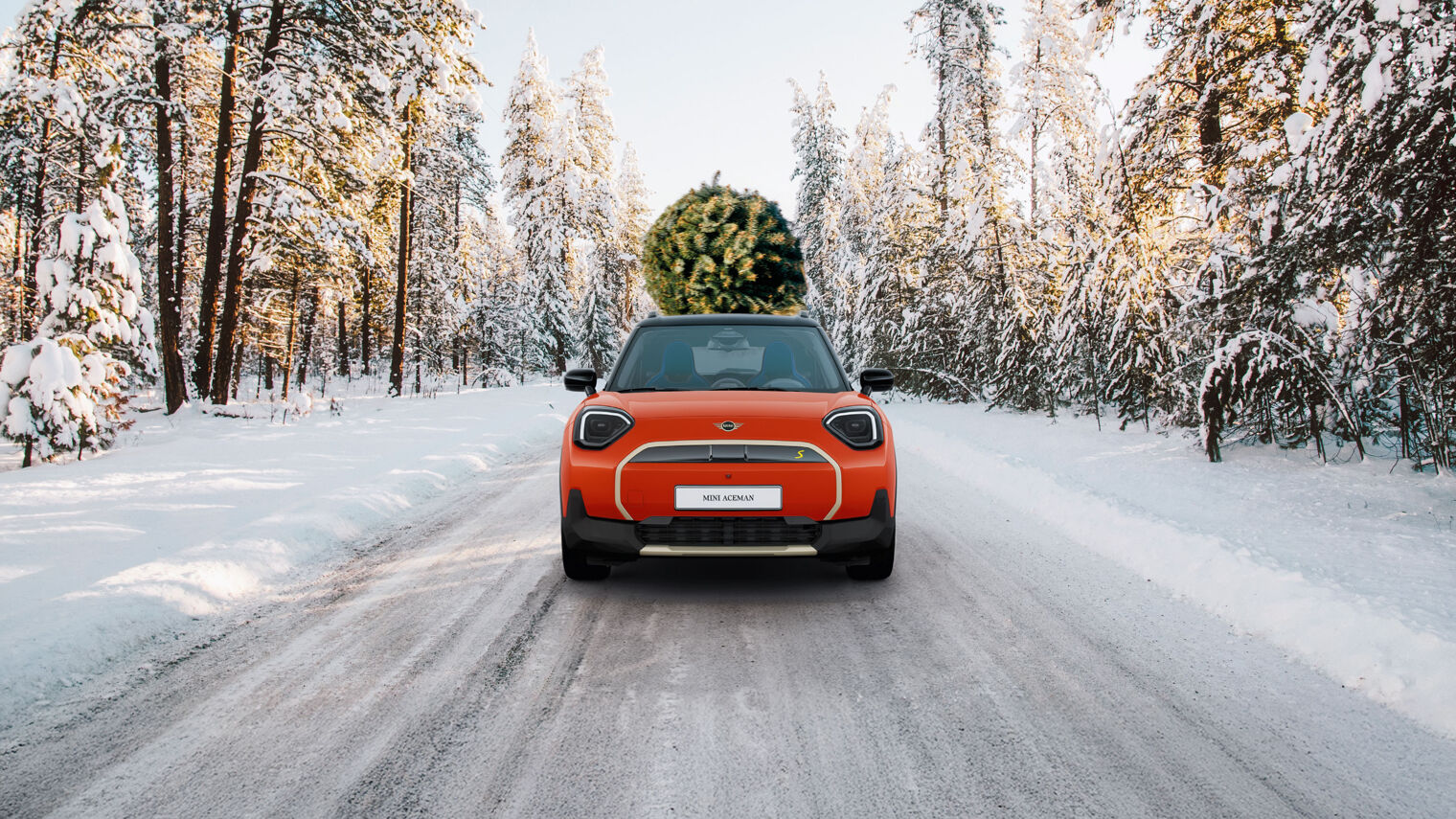 MINI_ChristmasCard_Image-(2)_aceman