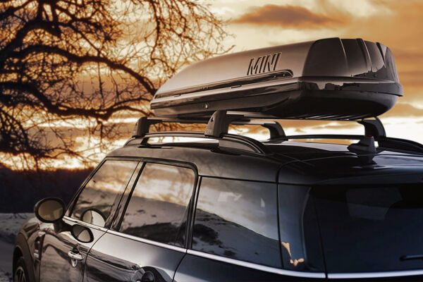 Basis Roofbox Winter.jpg