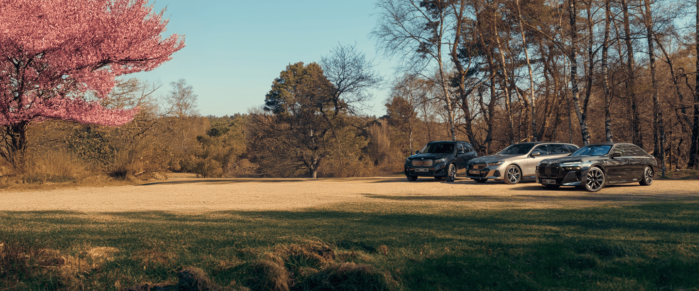Header taxi v2