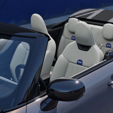 mini-F67-rollover-protection-wide