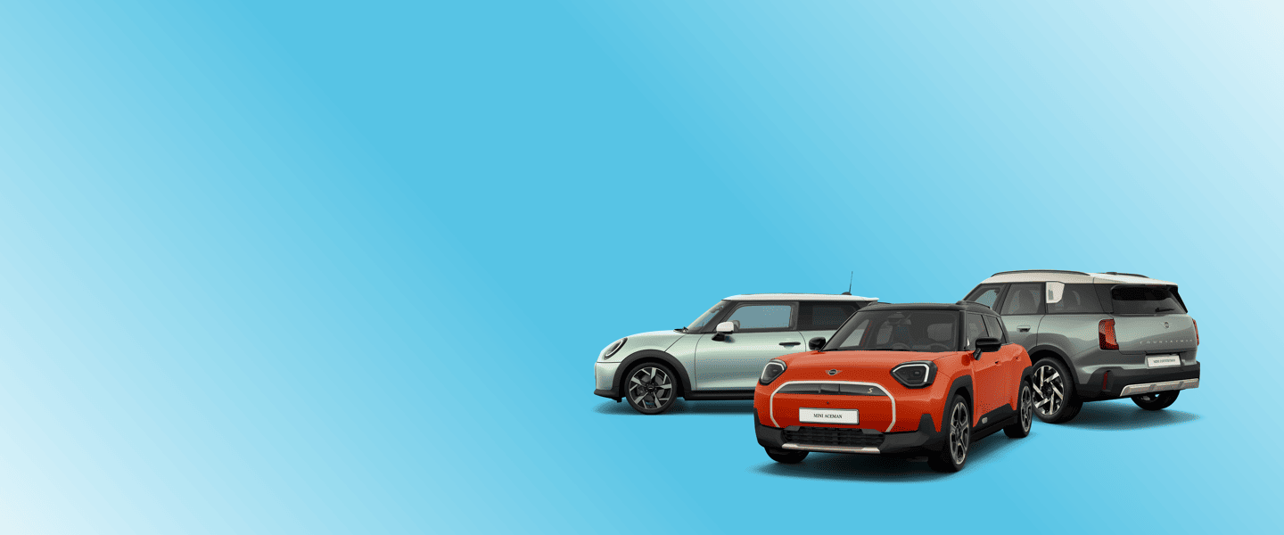 MINI-maal Visual (1)