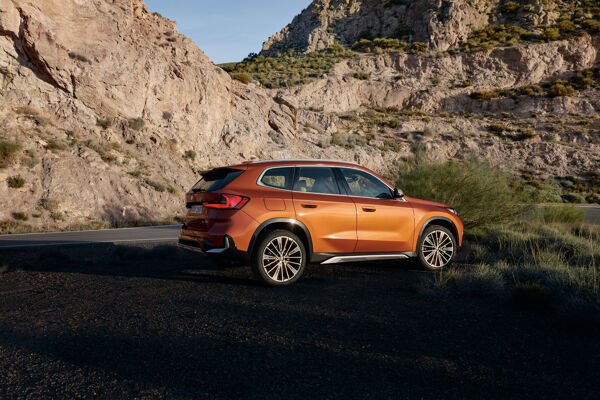BMW X128