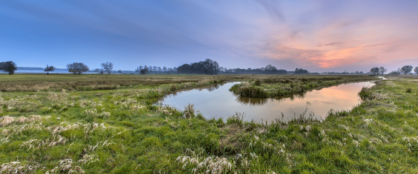 landschap 2
