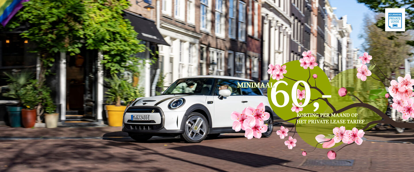 HEADER bloem