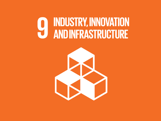 SDG9