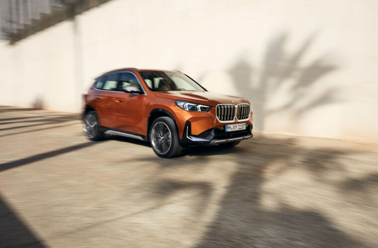 BMW X133