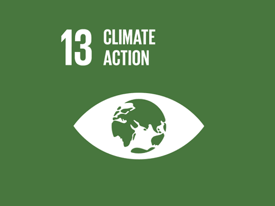 SDG13