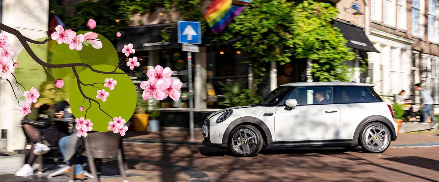 Slider bloemen