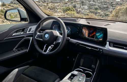 BMW X117