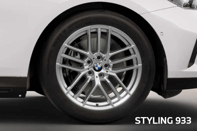 19 inch LM Triplex (Styling 933) Silber