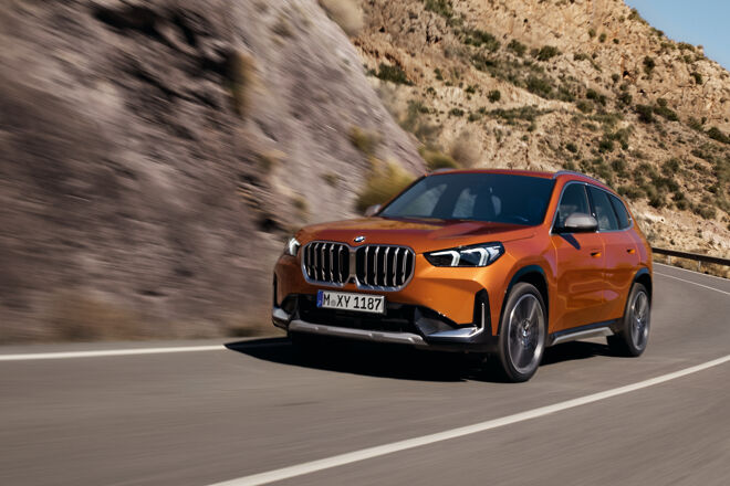 BMW X131