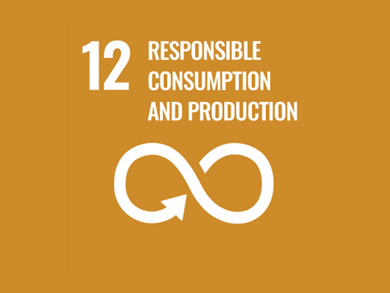 SDG12