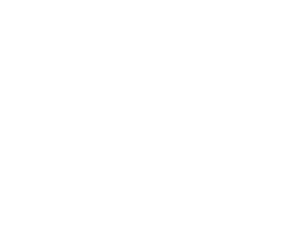 MINI Service