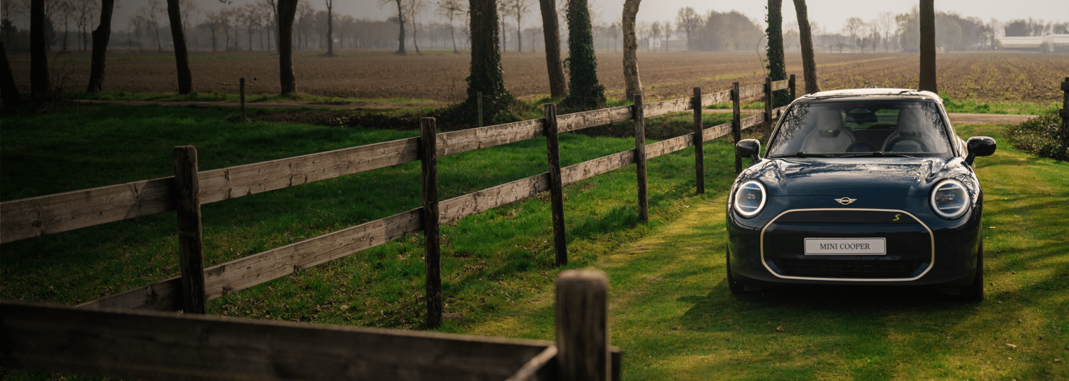 Ontwerp zonder titel (35)