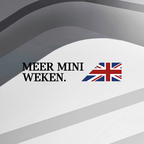 Kopie van Kopie van MINI Modellen.png
