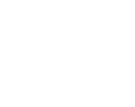 BMW Service