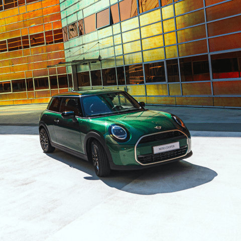 Ontwerp zonder titel (12).png