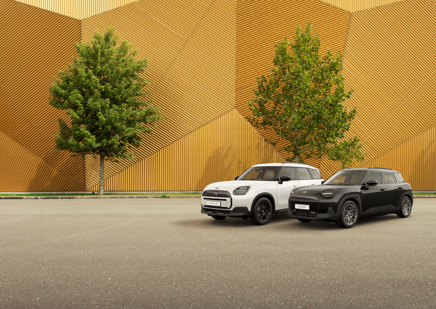 Blackyard Header defff.jpg