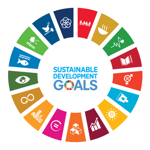 sdg-wheel-landscape-white-bg_en.png