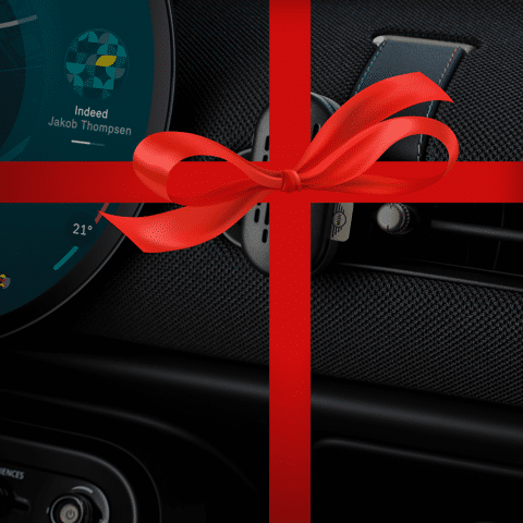 MINI Black Friday  (6).png